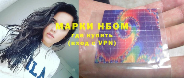 ECSTASY Богородицк