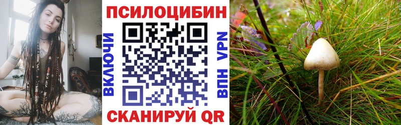 ссылка на мегу маркетплейс сколько стоит Кузнецк Псилоцибиновые грибы мухоморы